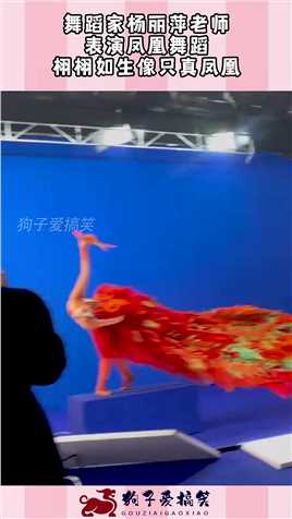 舞蹈家杨丽萍老师，表演凤凰舞蹈，栩栩如生像只真凤凰！