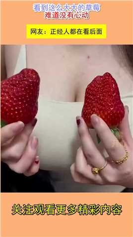 看到这么大大的草莓，难道没有心动？网友：正经人都在看后面！