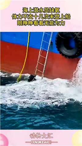 海上潜水员缺氧，体力不支十几次未登上船，眼睁睁看着无能为力！