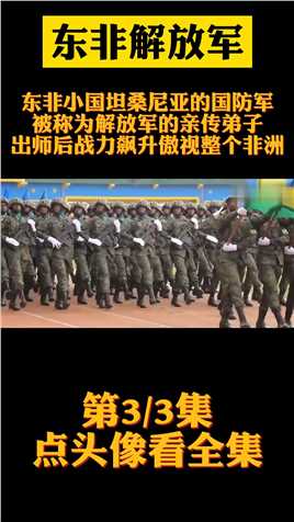东非小国坦桑尼亚的国防军，被称为解放军亲传弟子，出师后战力飙升傲视非洲历史战争中国军人 (3)