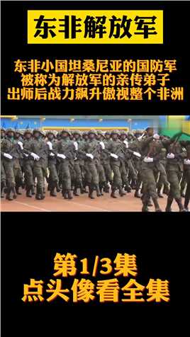 东非小国坦桑尼亚的国防军，被称为解放军亲传弟子，出师后战力飙升傲视非洲历史战争中国军人 (1)