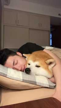 和狗狗抱着睡是件很幸福的事