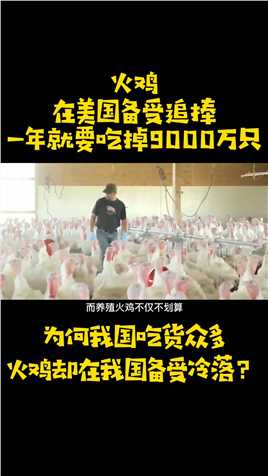 火鸡在美国备受追捧，一年能吃掉9000万只，为啥中国人不爱吃火鸡#火鸡#美食#鸡肉#圣诞节#感恩节#吃货 (3)