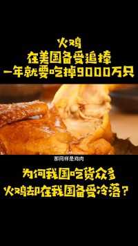 火鸡在美国备受追捧，一年能吃掉9000万只，为啥中国人不爱吃火鸡。火鸡美食鸡肉圣诞节感恩节吃货 (2)