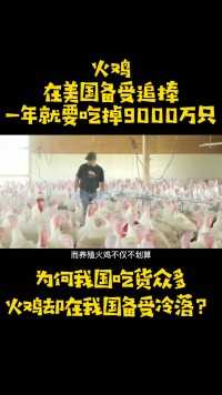火鸡在美国备受追捧，一年能吃掉9000万只，为啥中国人不爱吃火鸡。火鸡美食鸡肉圣诞节感恩节吃货 (3)