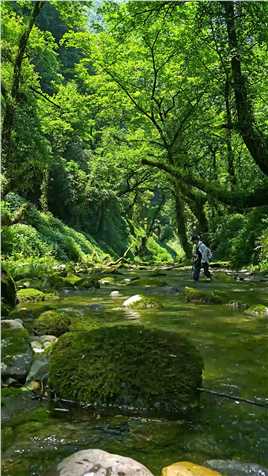 我在恩施找到了现实版的绿野仙踪！##带着微视去旅行 #徒步 #溯溪 