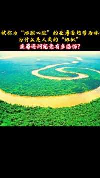 亚马逊河究竟有多恐怖？道理很简单，看看水下有什么就明白了！