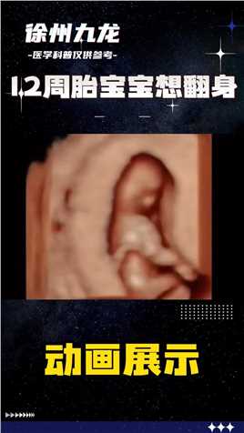 12周胎宝宝想翻身 #胎儿 #记录孕期生活  #孕期知识科普  