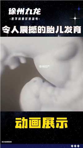 令人震撼的胎儿发育 #胎儿发育 #记录孕期生活  #孕期知识科普  