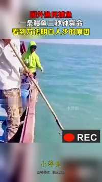 国外渔民捕鱼，一条鳗鱼三秒钟毙命，看到方法明白人少的原因