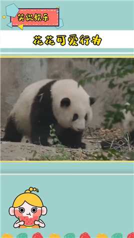 #大熊猫和花 小手挥的好可爱 #可爱的大熊猫