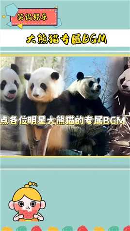 盘点各位明星大熊猫的专属BGM #关爱国宝大熊猫
