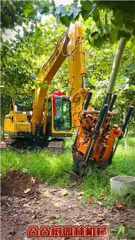 干活讲究效率，这台，一天800棵！#挖树机 #园林机械 #绿化苗木 #苗圃 