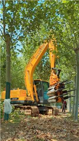 神奇挖树种树一气呵成，轻松实现一分钟挖树！#挖树机 #带土球挖树机 #园林机械 #绿化苗木 #苗圃 