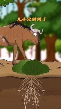 角马的天敌是鬣狗和鳄鱼 科普  原创动画  