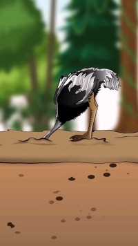 谣言 鸵鸟遇到危险可不是把头埋进沙堆呀！ 科普  原创动画  