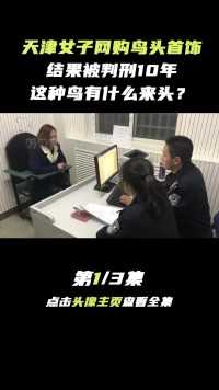 天津女子网购鸟头首饰，结果被判刑10年，这种鸟有什么来头？科普一下盔犀鸟犀鸟野生动物文玩鸟类科普