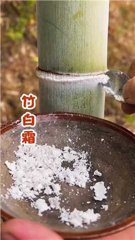 你见过竹子表面的白灰吗？用处可不得了#健康 #植物 #三农