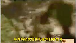 1993年，东方帮帮主被武警扫射击毙真实影像 #珍贵历史影像 #真实影像 #案件故事 #案件纪实  #刘进荣_0001