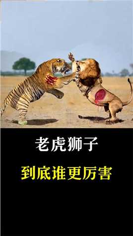 老虎和狮子到底谁厉害