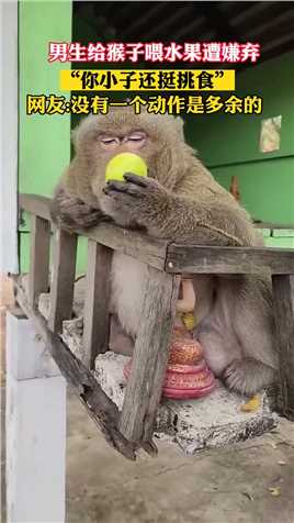 男生给猴子喂水果遭嫌弃，“你小子还挺挑食”。网友没有一个动作是多余的