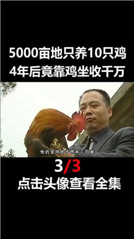 湖南男子5000亩地只养10只鸡，4年后竟靠鸡坐收千万农村散养土鸡鸡生态散养土鸡致富经...
