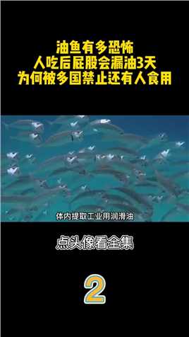 油鱼有多恐怖，人吃后屁股会漏油3天，为何被多国禁止还有人食用。油鱼鱼涨知识 (2)