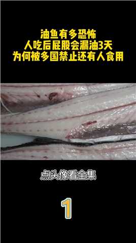 油鱼有多恐怖，人吃后屁股会漏油3天，为何被多国禁止还有人食用。油鱼鱼涨知识 (1)