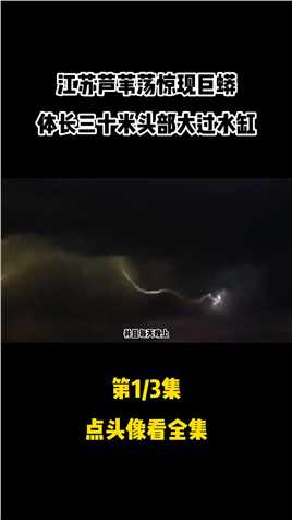 30米巨蟒曾在江苏出现，当时电闪雷鸣狂风大作，多人曾亲眼目睹 #巨蟒 #打雷 #芦苇荡 #事件 #悬疑 (1)