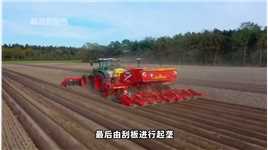 德国如何播种土豆？一次同时播种8行，一小时播种土豆80亩农业机械化现代化农业机械现代化农机