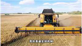 德国如何收割燕麦？使用12.5米宽的割台，一小时收割燕麦250亩快手农技人现代农业机械收割机