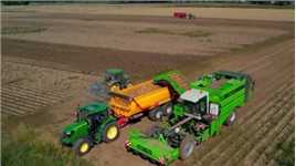 荷兰机械化收获土豆，一次收获4行，一个小时收获100吨现代农业机械农业机械化涨姿势