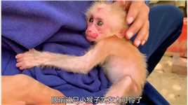 刚出生的小猴子被虐待，幸好遇见了好心人#万物皆有灵性  #动物救助.mp4

