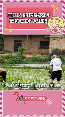 中国人的农耕文明是刻在骨子里的 # 种菜 # 种菜是中国人刻在骨子里的基因 # 云浩止耕