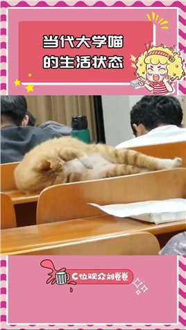 大学里猫咪的日常 对大学生主打一个信任 # 猫咪