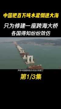 中国把万吨水泥倒进大海，只为修建一座大桥，各国得知纷纷效仿#基建狂魔#基建#大桥#跨海大桥 (1)
