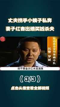 丈夫携手小姨子私奔，妻子红杏出墙买凶杀夫，老夫少妻的绝命婚姻#家庭伦理#民生百态#生活纪实 (3)