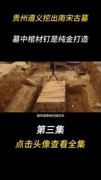 贵州遵义挖出了南宋古墓，棺材钉竟是纯金，棺椁是金丝楠木#古墓#考古#历史#土司 (3)