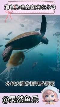 海龟为什么会喜欢吃水母