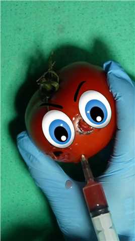 烂番茄除虫紧急救援手术