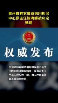 贵州省黔农融资信用担保中心原主任陈海峰被决定逮捕
