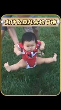 婴儿为什么会害怕草坪 #新知创作人