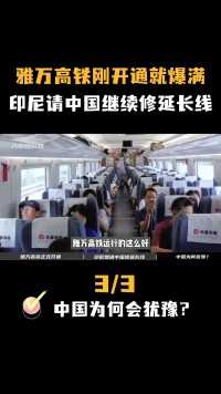 雅万高铁客流量爆满，印尼想让中国修延长线，为何中国不想参与？#雅万高铁#中国#日本#印尼#延长线 (3)


