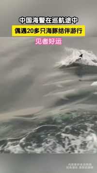 见者好运，中国海警在巡航途中，偶遇20多只海豚结伴游行