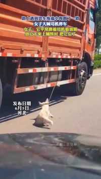 路上遇到货车拖着小狗跑了一路，女子大喊司机停车