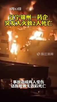 辽宁锦州一药企，突发大火致2人死亡。