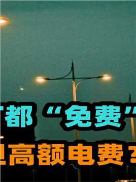 中国路灯每晚都“免费”开，谁来承担高额电费？说出来你可能不信#路灯#税收#电费#建设#科普一下 (2)