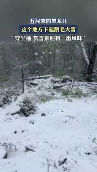 五月末的黑龙江这个地方下起鹅毛大雪