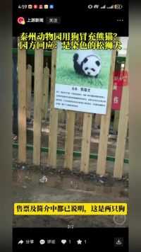 泰州动物园用狗冒充熊猫？园方回应：是染色的松狮狗