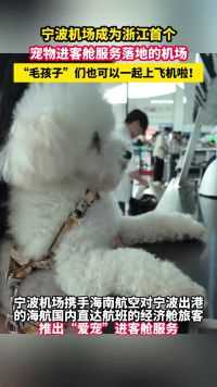 宁波机场成为浙江首个宠物进客舱服务落地的机场， “毛孩子”们也可以一起上飞机啦！